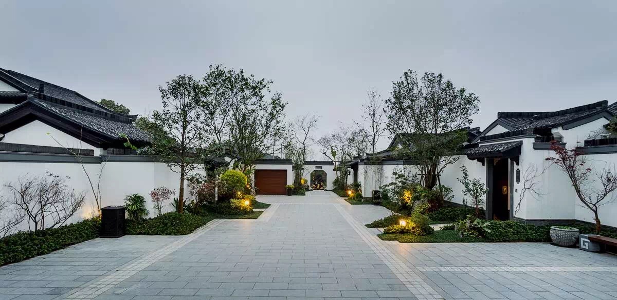 15064989268984664Zub.jpg 15064989268984664Zub.jpg